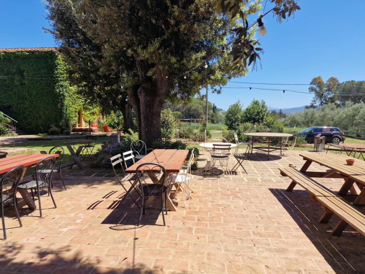 Agriturismo Bio Fattoria Di Pietra Giuncarico Eksteriør billede
