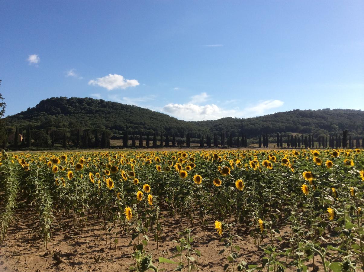 Agriturismo Bio Fattoria Di Pietra Giuncarico Eksteriør billede